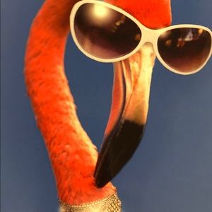 Meet your Posher, Kayron